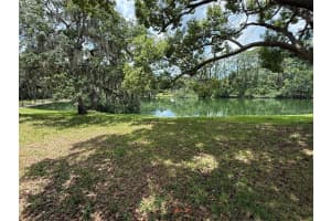 8018 WILDFLOWER ROW, HUDSON, FL 34667 - MLS#MFRW7886267
