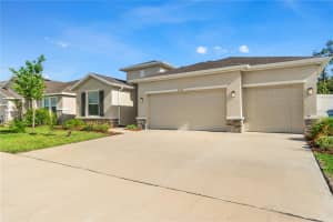 3763 AUTUMN AMBER DRIVE, SPRING HILL, FL 34609 - MLS#MFRW7886279