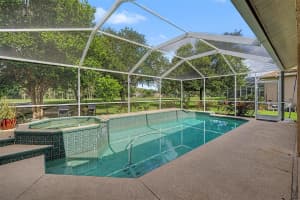 1331 TRIMARAN PLACE, TRINITY, FL 34655 - MLS#MFRW7886304