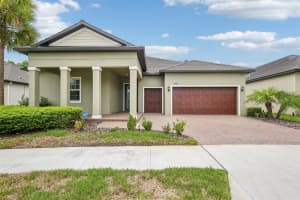 11040 Banyan Breeze Blvd, LAND O LAKES