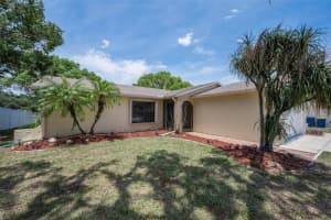 12603 PECAN TREE DRIVE, HUDSON, FL 34669 - MLS#MFRW7886373