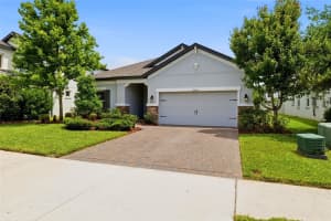 11903 RANCHERS GAP DRIVE, ODESSA, FL 33556 - MLS#MFRW7886390