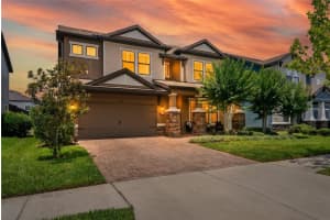 12299 LAKE BLANCHE DRIVE, ODESSA, FL 33556 - MLS#MFRW7886400