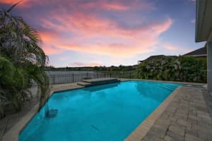 1345 HALAPA WAY, TRINITY, FL 34655 - MLS#MFRW7886426
