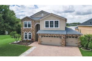 1345 HALAPA WAY, TRINITY, FL 34655 - MLS#MFRW7886426