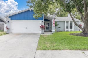 8038 Buttonball Ln, PORT RICHEY 8038 Buttonball Ln, PORT RICHEY