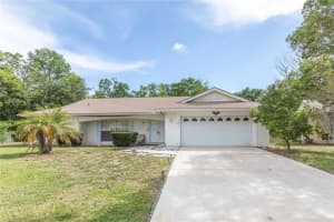 12101 LONGSTRAP LANE, HUDSON, FL 34667 - MLS#MFRW7886666