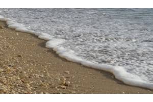 3456 S Ocean Blvd, Palm Beach, FL 33480, Sold 02/17/15