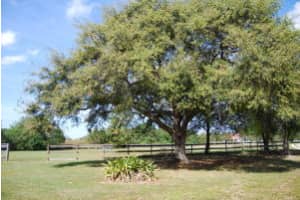 17652 Shetland Ln, Loxahatchee, FL 33470, Sold 07/15/15