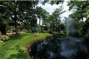 8989 NW 70th Ct, Parkland, FL 33067, Sold 12/19/16