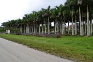 2587 Skipiks Way, Wellington, FL 33470, Sold 05/06/16