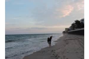 3580 S Ocean Blvd Ph B, South Palm Beach, FL 33480, Sold 11/30/15