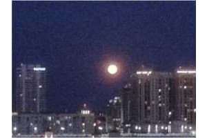 616 Clearwater Park Rd, West Palm Beach, FL 33401, Sold 07/07/16