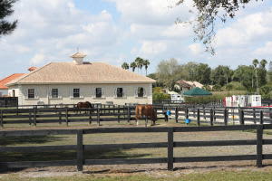15590 Sea Mist Ln, Wellington, FL 33414, Sold 03/16/16
