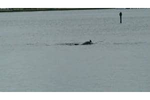 1868 SW Palm City Rd, Stuart, FL 34994, Sold 09/01/16