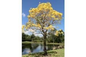 12719 SE Old Cypress Dr, Hobe Sound, FL 33455, Sold 06/01/16