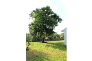 206 Par Dr, Royal Palm Beach, FL 33411, Sold 06/15/16