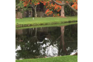 492 Westtree Ln, Plantation, FL 33324, Sold 07/29/16