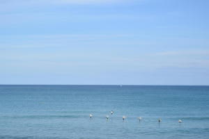 4501 S Ocean Blvd APT B7, South Palm Beach, FL 33480, Sold 09/16/16