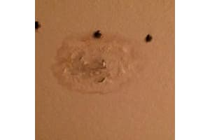 1501 Siena Ln, Boynton Beach, FL 33436, Sold 01/06/17