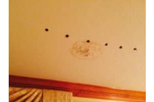 1501 Siena Ln, Boynton Beach, FL 33436, Sold 01/06/17