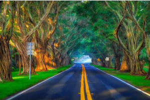 8835 SE Bayberry Terrace, Hobe Sound, FL 33455, Sold 12/01/16