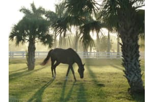 17681 Shetland Ln, Loxahatchee, FL 33470, Sold 08/18/17