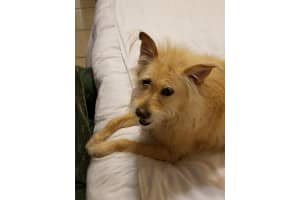 1545 Augusta Cir, Delray Beach, FL 33445, Sold 04/24/17