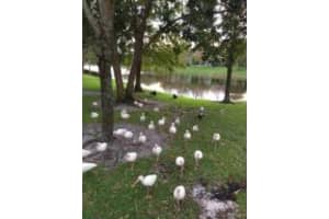 1076 Grove Park Cir, Boynton Beach, FL 33436, Sold 04/19/17