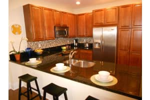 226 N Latitude Cir, Delray Beach, FL 33483, Sold 03/24/17