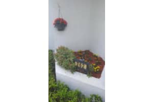 262 Sunshine Blvd, Royal Palm Beach, FL 33411, Sold 05/05/17