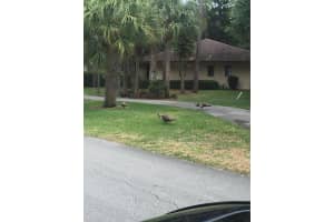 4267 Wood Ride Rd, Boynton Beach, FL 33436, Sold 06/28/17