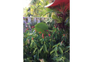 8134 Ambach Way, Hypoluxo, FL 33462, Sold 06/14/17