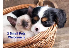 400 N Flagler Dr PH C1, West Palm Beach, FL 33401, Sold 02/14/18