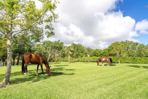 5335 Ridan Way, Palm Beach Gardens, FL 33418, Sold 08/22/18