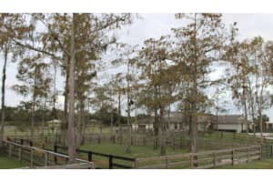 14333 Belmont Trce, Wellington, FL 33414, Sold 05/20/19