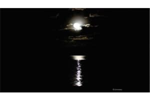 52 Yacht Club Dr, North Palm Beach, FL 33408, Sold 05/30/18