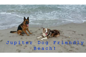 1420 Ocean Way #4b, Jupiter, FL 33477, Sold 02/20/18