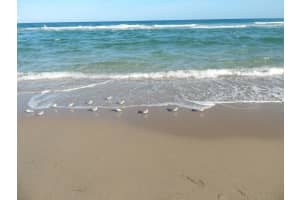 1199 Hillsboro Mile, Hillsboro Beach, FL 33062, Sold 03/23/18