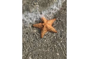 1199 Hillsboro Mile, Hillsboro Beach, FL 33062, Sold 03/23/18