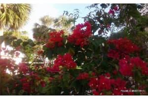 2366 Saratoga Bay Dr, West Palm Beach, FL 33409, Sold 06/01/18