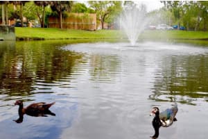 6960 SW 39th St APT E102, Davie, FL 33314, Sold 07/17/18