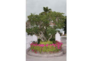 1924 Westminster Cir, Vero Beach, FL 32966, Sold 08/15/18