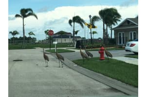 5550 NW Pine Trail Cir, Port St. Lucie, FL 34983, Sold 11/30/18