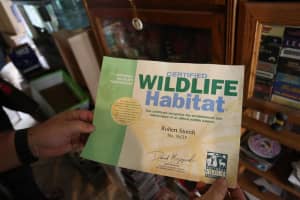 21297 Summertrace Cir, Boca Raton, FL 33428, Sold 09/28/18