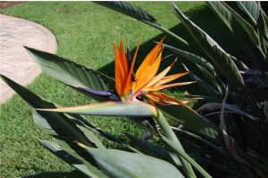 4041 NE Breakwater Dr, Jensen Beach, FL 34957, Sold 09/28/18