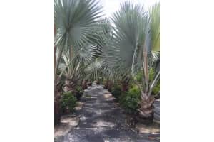 2201 D Rd, Loxahatchee, FL 33470, Sold 04/26/19