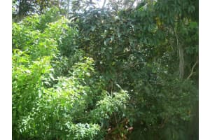 6548 Spring Bottom Way, Boca Raton, FL 33433, Sold 02/04/19