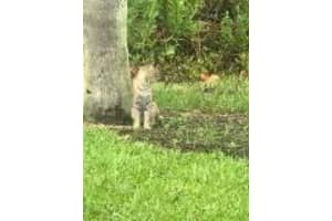 10550 SE Jupiter Narrows Dr, Hobe Sound, FL 33455, Sold 05/16/19