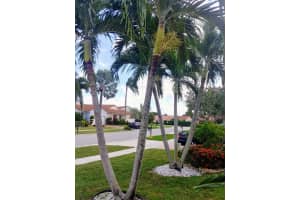 12355 Pleasant Green Way, Boynton Beach, FL 33437, Sold 11/20/19